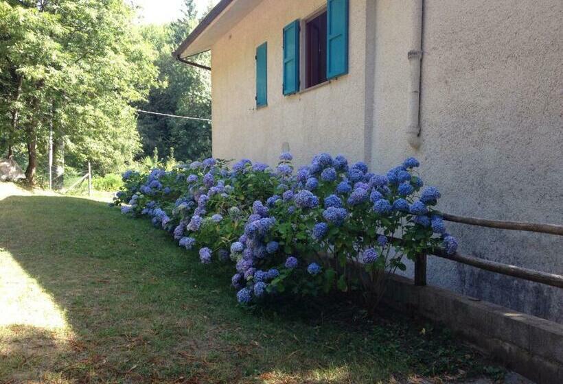 בית, 3 חדרי שינה, Agriturismo La Casa Nel Bosco