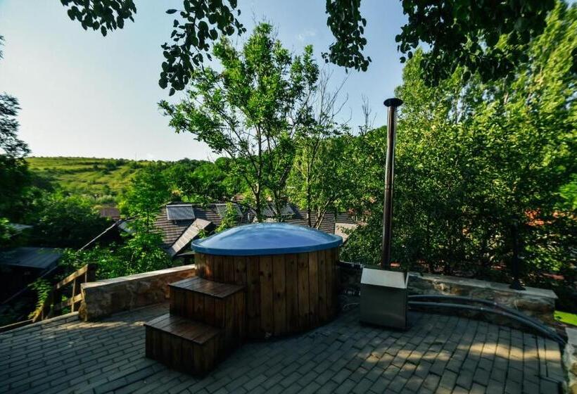 1间卧室的房子, Pensiunea Casa Dacilor