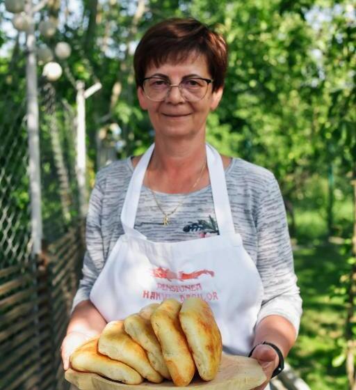 1间卧室的房子, Pensiunea Casa Dacilor