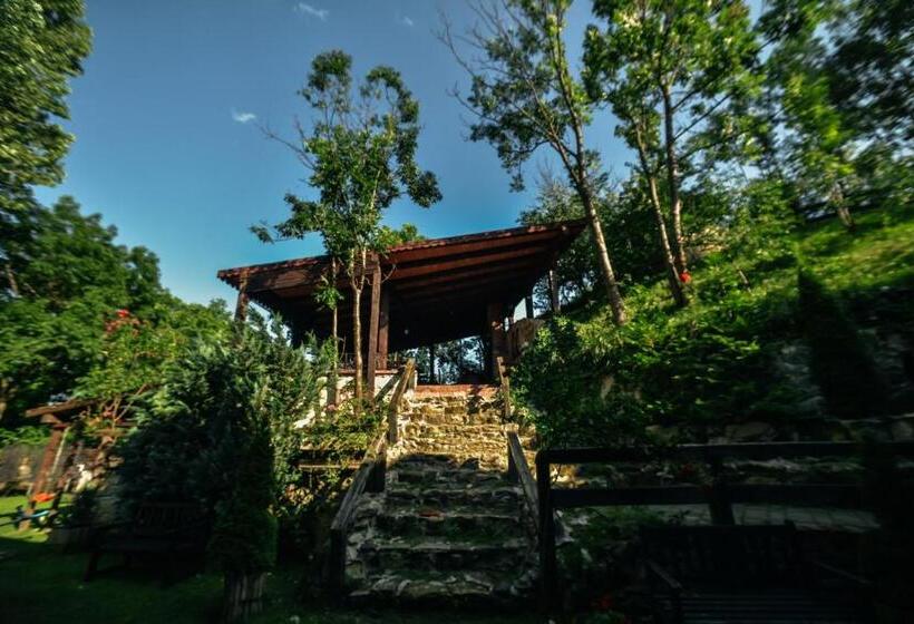 1间卧室的房子, Pensiunea Casa Dacilor