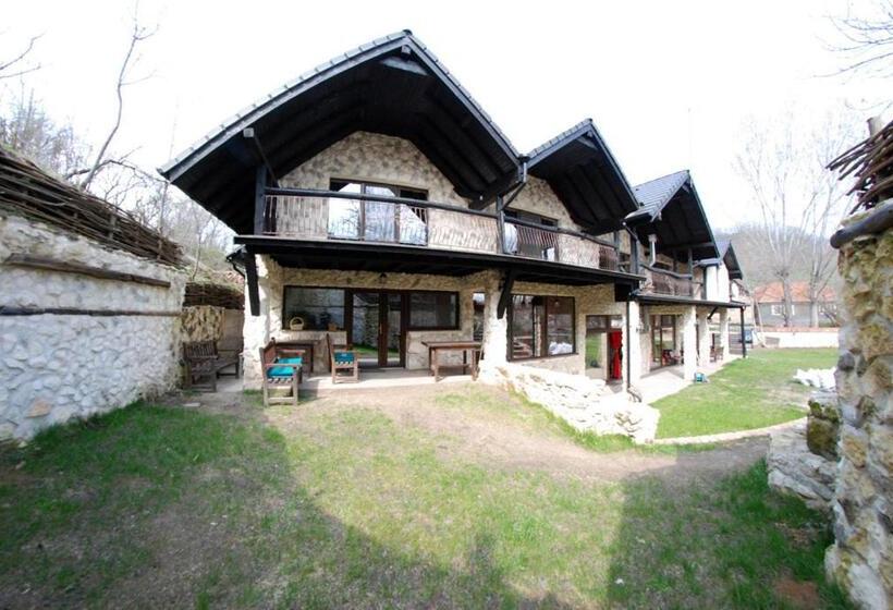 1间卧室的房子, Pensiunea Casa Dacilor