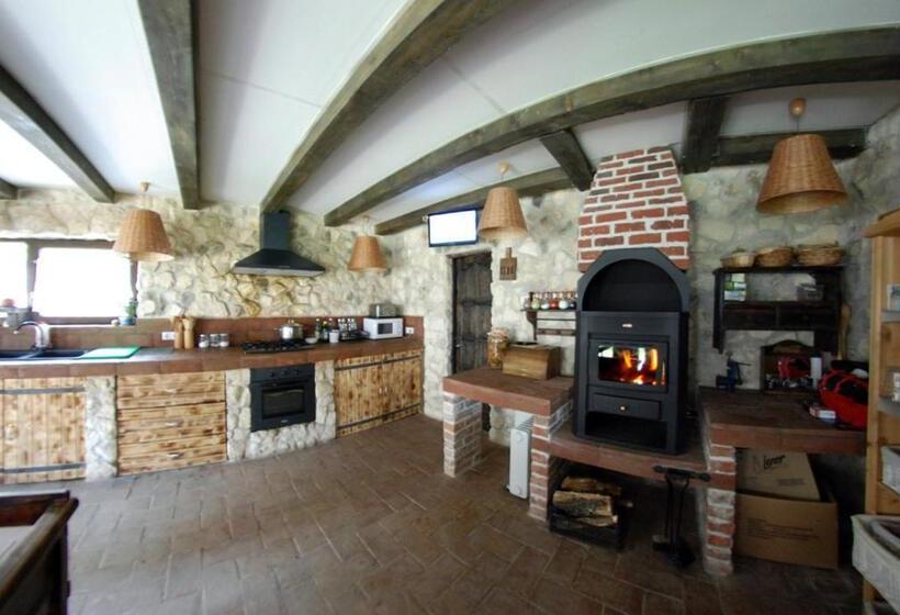 1间卧室的房子, Pensiunea Casa Dacilor