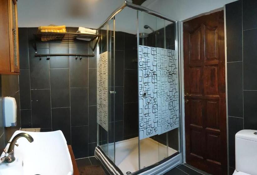 标准间, Pensiunea Casa Dacilor