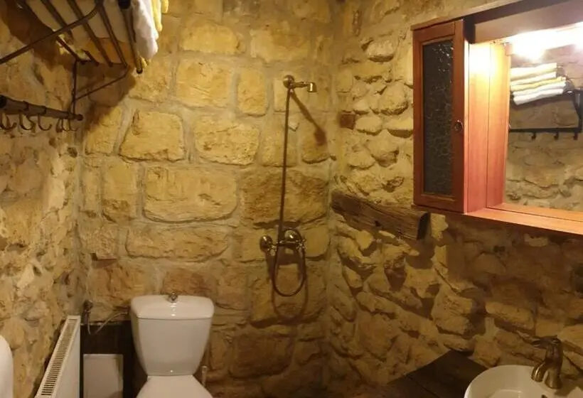 １階の１ベッドルームアパートメント, Pensiunea Casa Dacilor
