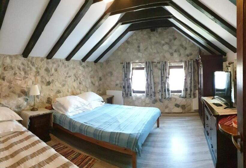 带1个卧室的公寓, Pensiunea Casa Dacilor