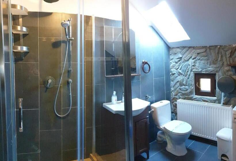 带1个卧室的公寓, Pensiunea Casa Dacilor