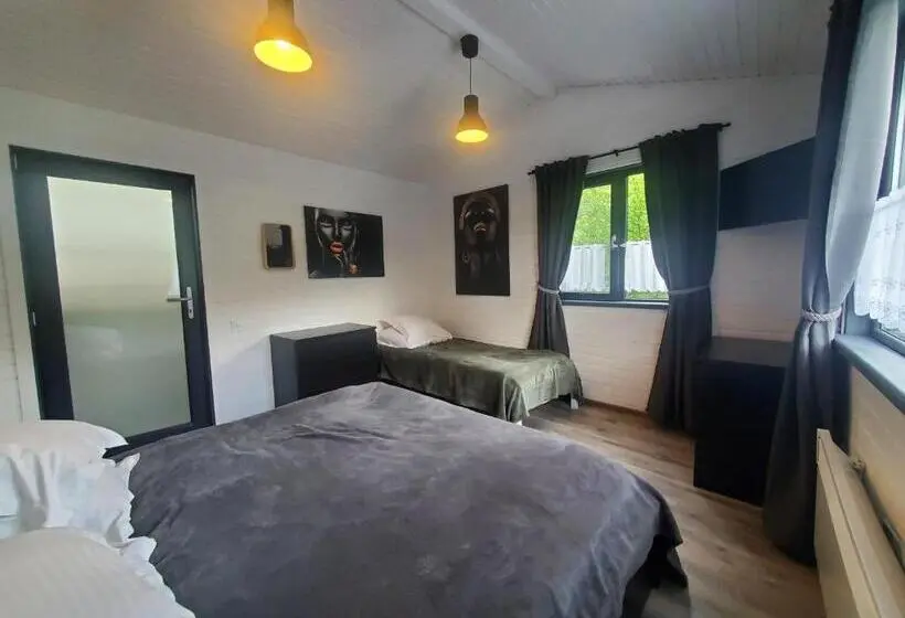 プールの見える１ベッドルームアパートメント, Pensiunea Casa Dacilor