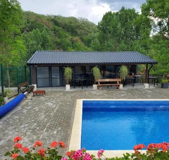 プールの見える１ベッドルームアパートメント, Pensiunea Casa Dacilor