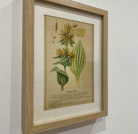 豪华房间, B&b Il Giardino Nascosto