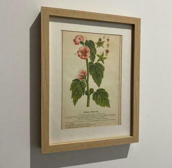 标准间带山景, B&b Il Giardino Nascosto