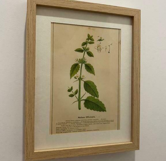 豪华房间, B&b Il Giardino Nascosto