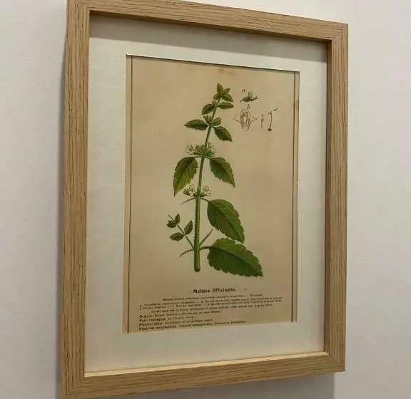 デラックスルーム, B&b Il Giardino Nascosto