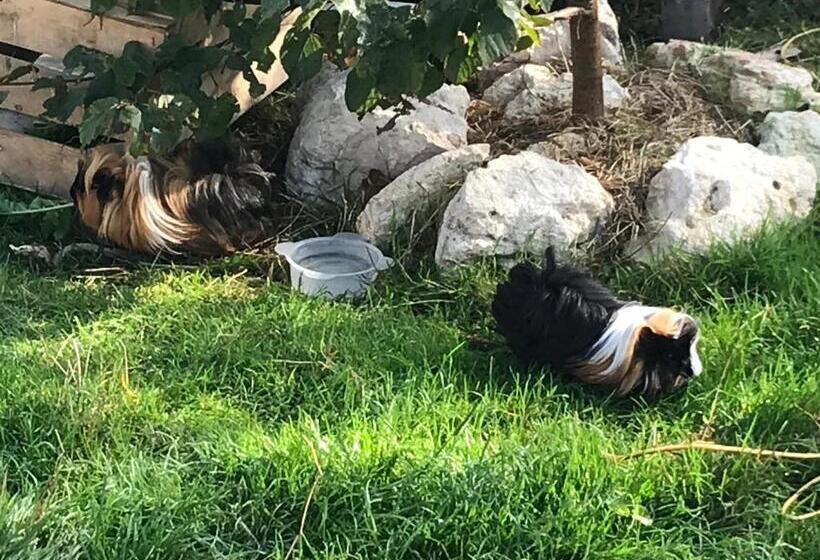 غرفة قياسية رباعية مطلة على الحديقة, Chambre D Hôtes Chez Gustave & Compagnie