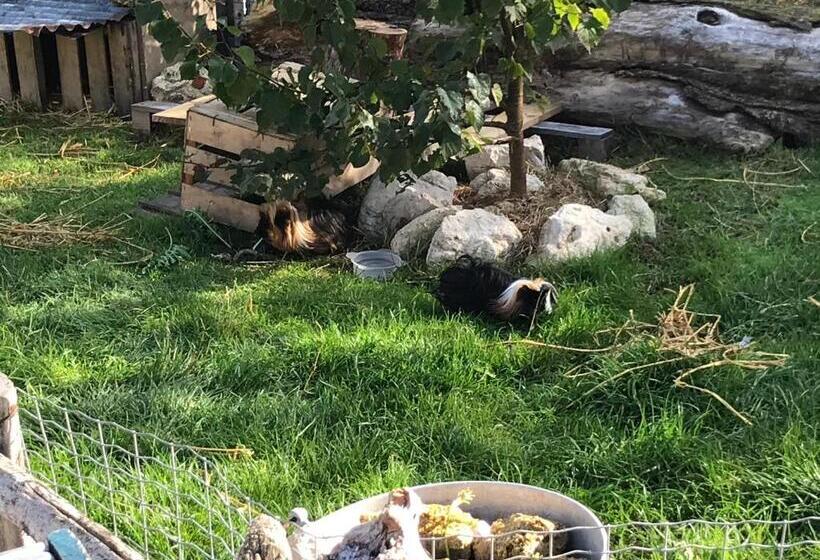 غرفة قياسية رباعية مطلة على الحديقة, Chambre D Hôtes Chez Gustave & Compagnie