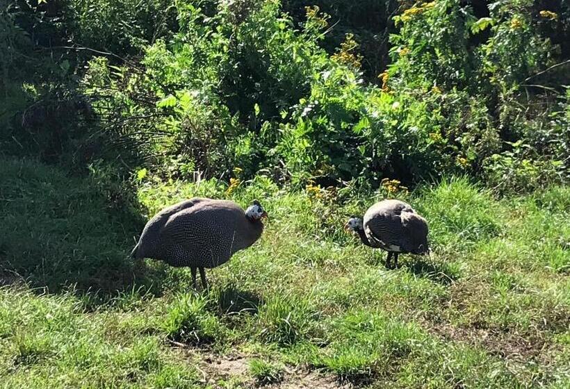 غرفة قياسية رباعية مطلة على الحديقة, Chambre D Hôtes Chez Gustave & Compagnie