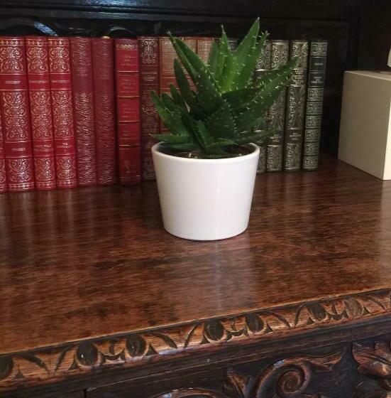 스탠다드 룸, Chez Montiz