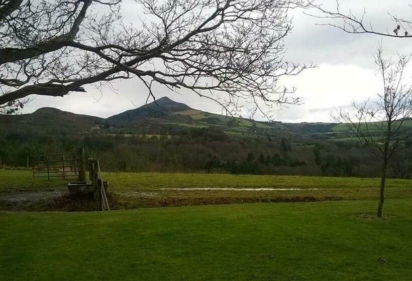 Pokój Ekonomiczny, Relaxing Space