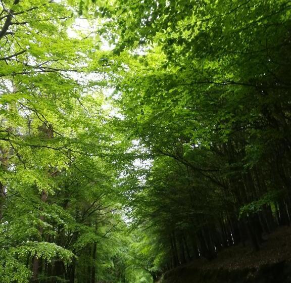 Pokój Deluxe, Relaxing Space