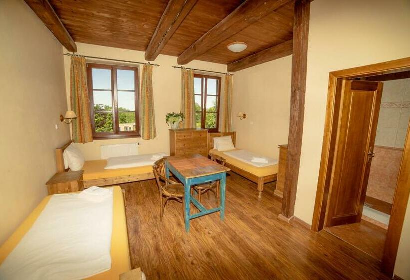 스탠다드 트리플 룸, Stary Dum