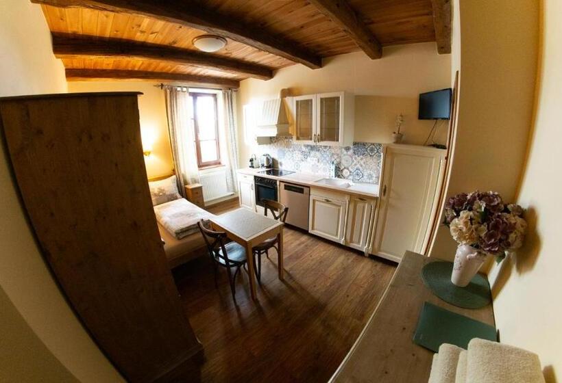 스탠다드 룸, Stary Dum