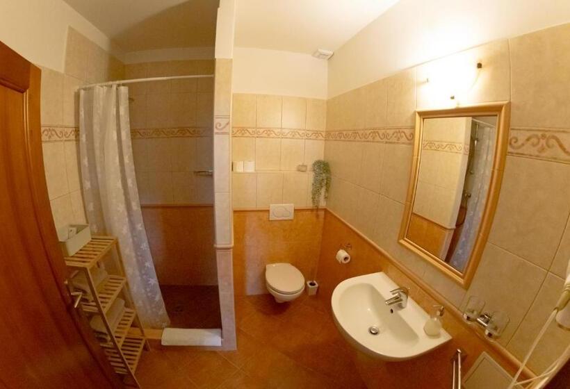 트리플 클래식 룸, Stary Dum