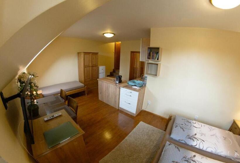 트리플 클래식 룸, Stary Dum