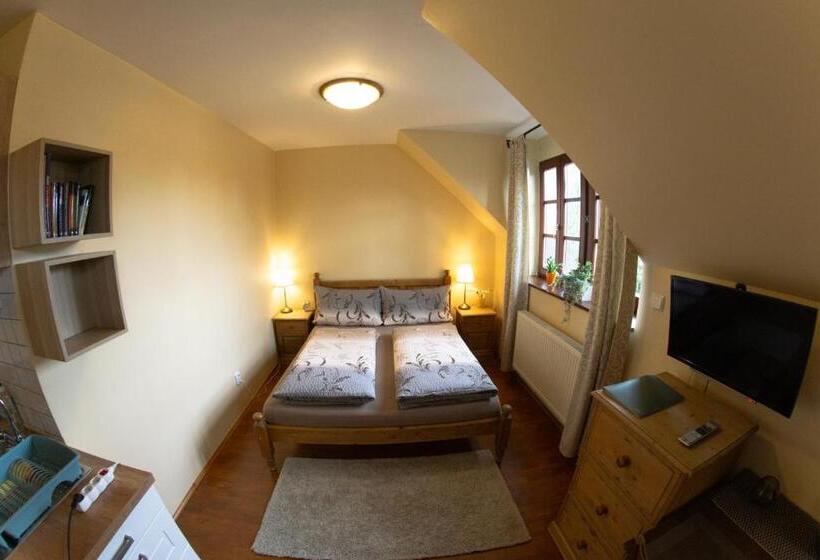 트리플 클래식 룸, Stary Dum