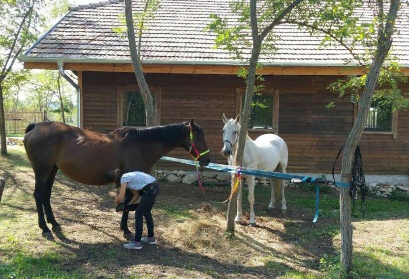 בית, חדר שינה 1, Derű Vendégház és Lovasudvar