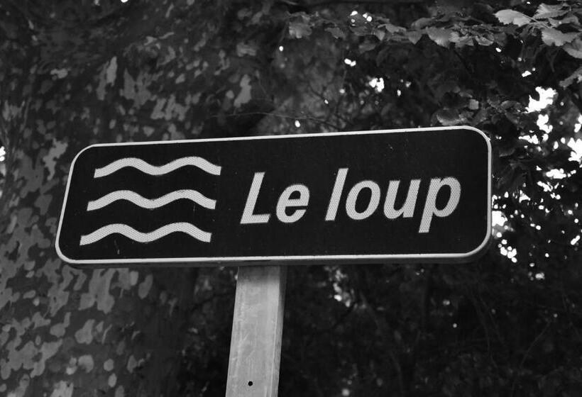 إستوديو سوبيريور, La Cigale