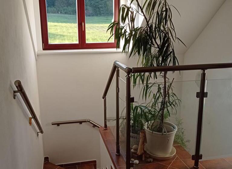 Апартаменты 1 Спальня Вид на Сад, Apartmány U Orlického Jezera   Kamenice