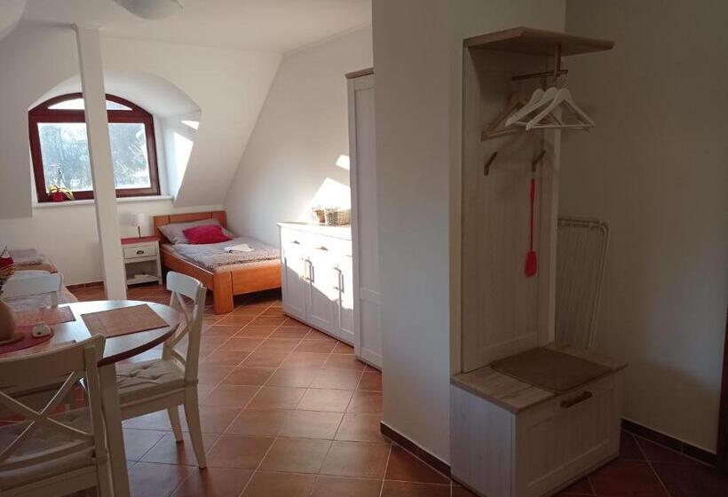 带大床的标准工作室, Apartmány U Orlického Jezera   Kamenice