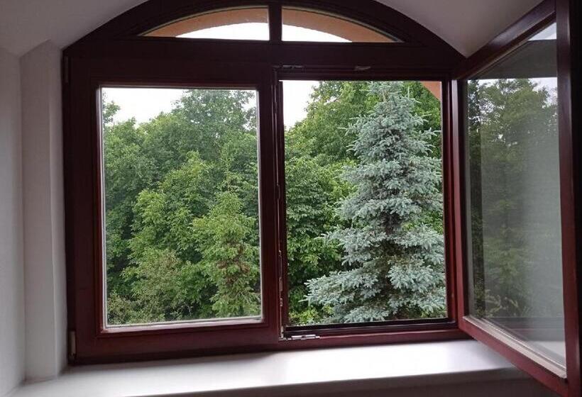 Студио Стандарт Кровать Кинг, Apartmány U Orlického Jezera   Kamenice