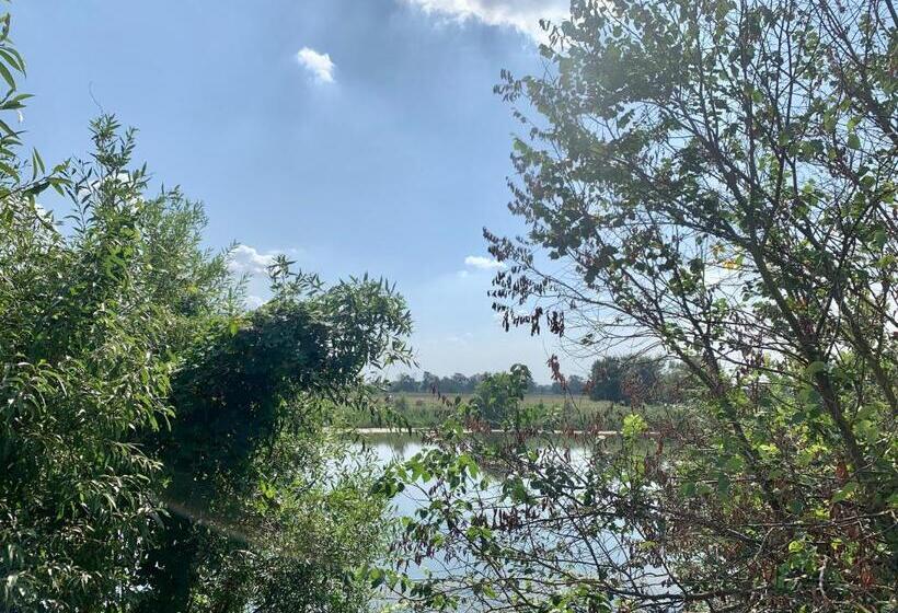 스탠다드 룸 호수 전망, Deichgraf „die Elbpension“