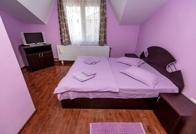 Номер Стандарт, Complex Stefanesti