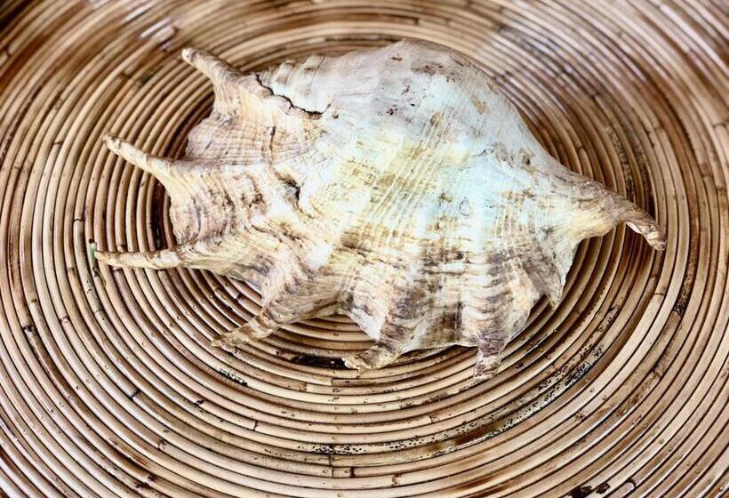 חדר משפחתי, Babaland