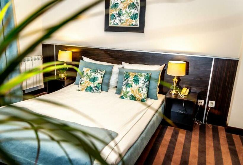 شقة ديلوكس غرفة واحدة, Dworek