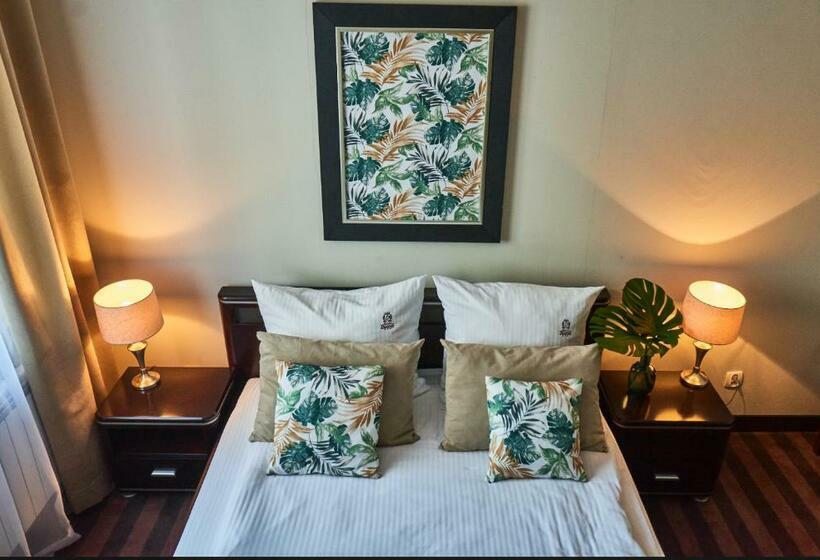 شقة ديلوكس غرفة واحدة, Dworek