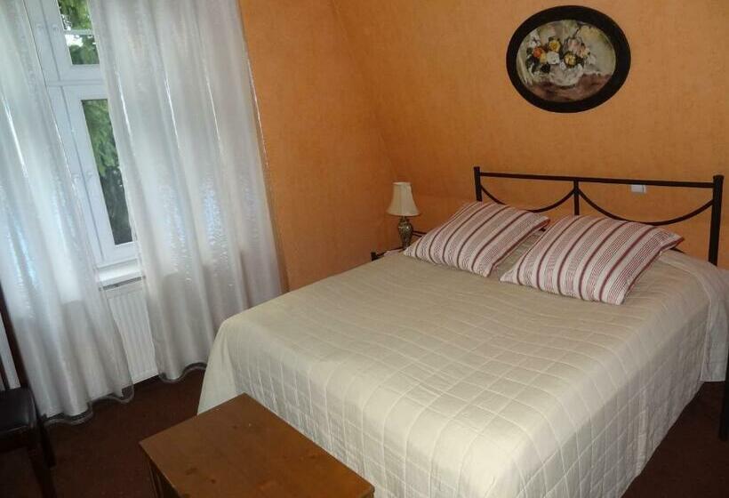 חדר סטנדרט עם מיטת קינג, Pensjonat U Kota Wasyla