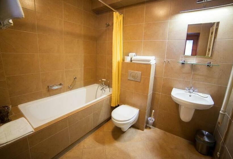 חדר סטנדרט עם מיטת קינג, Pensjonat U Kota Wasyla