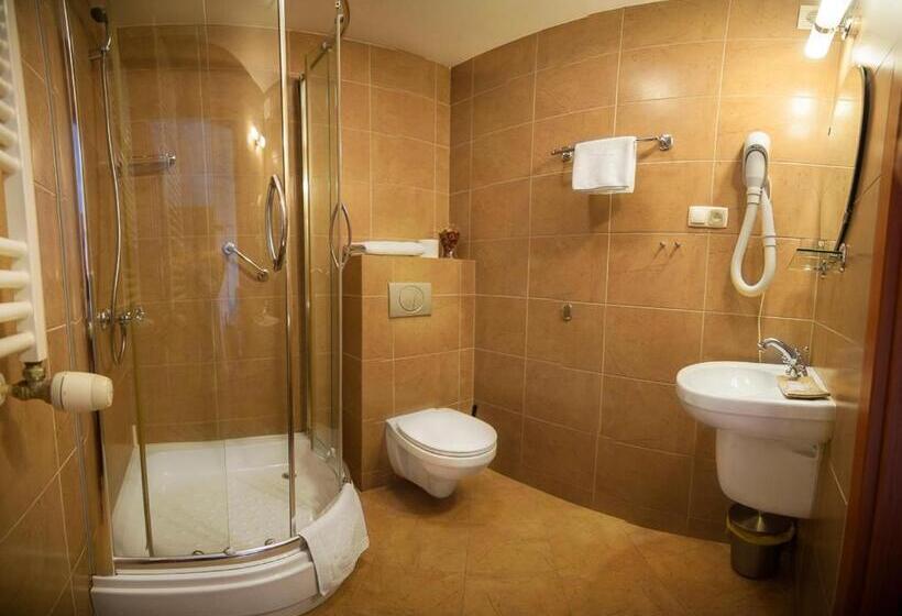 חדר סטנדרט יחיד, Pensjonat U Kota Wasyla