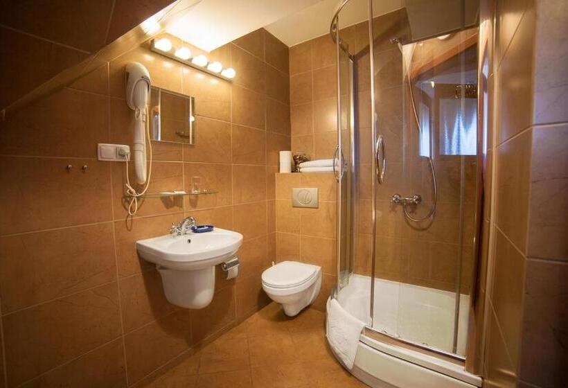 חדר סטנדרט, Pensjonat U Kota Wasyla