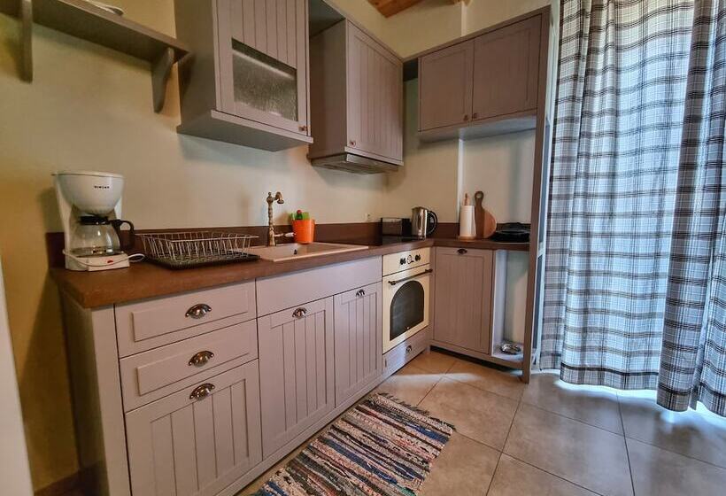 דירת דלוקס 2 חדרי שינה, Asion Lithos