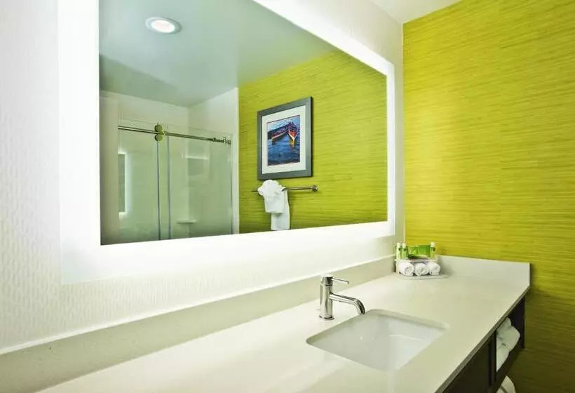 スタンダードルーム, Holiday Inn Express Hotel & Suites Ann Arbor West, An Ihg