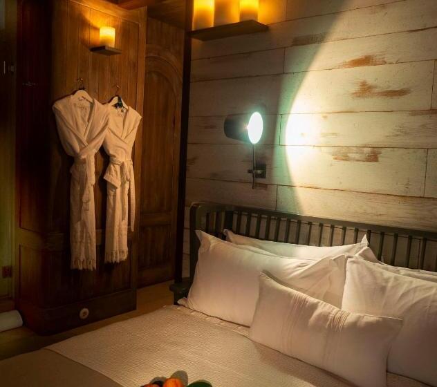 غرفة كلاسيكية, Alavya