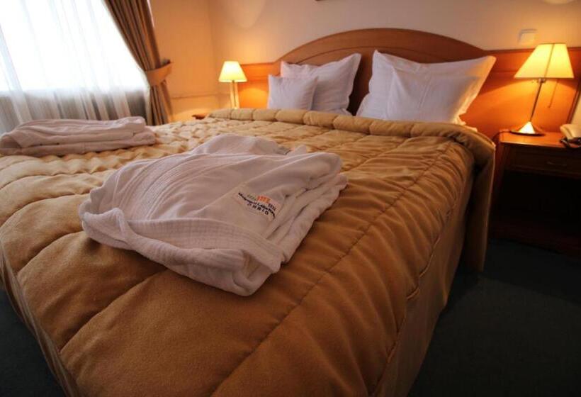 اتاق استاندارد با چشمانداز دریاچه, Bellevue Metropol Lake Resort