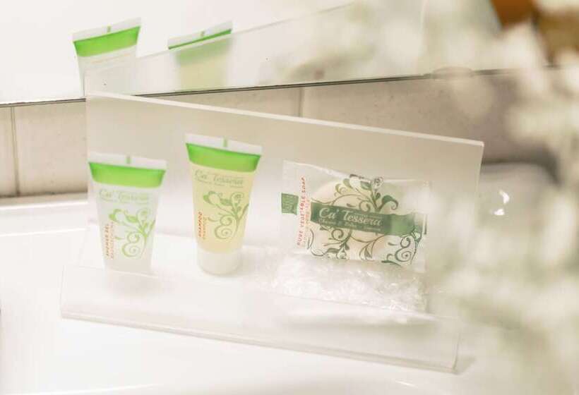 اتاق استاندارد, Ca Tessera Venice Airport