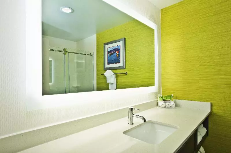 スタンダードルーム, Holiday Inn Express Hotel & Suites Ann Arbor West, An Ihg