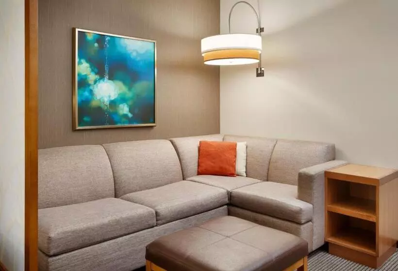 اتاق استاندارد با تخت بزرگ, Hyatt Place Miami Airport East
