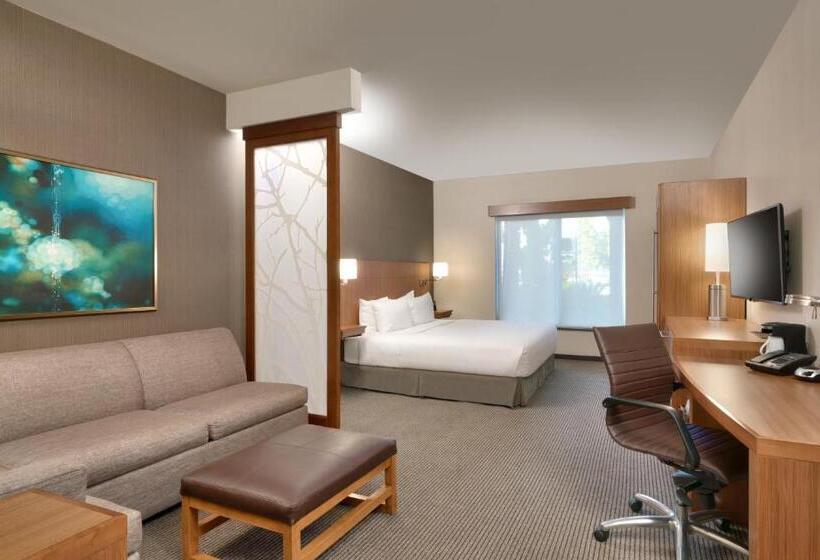 스탠다드 룸 킹사이즈 침대, Hyatt Place Miami Airport East