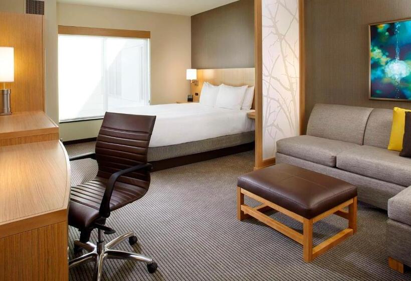 غرفة قياسية سرير كينج لذوى الإحتياجات الخاصة, Hyatt Place Miami Airport East